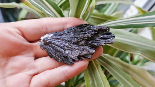 Raw Black Kyanite Specimen