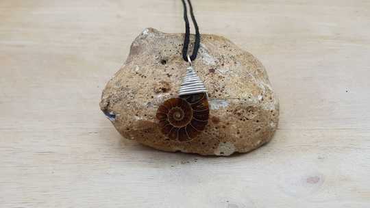 Ammonite pendant