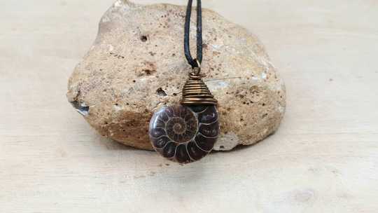 Mens Ammonite pendant