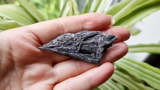 Raw Black Kyanite