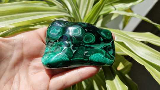 Large Malachite Freeform