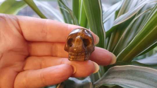 Tigers Eye Crystal Skull