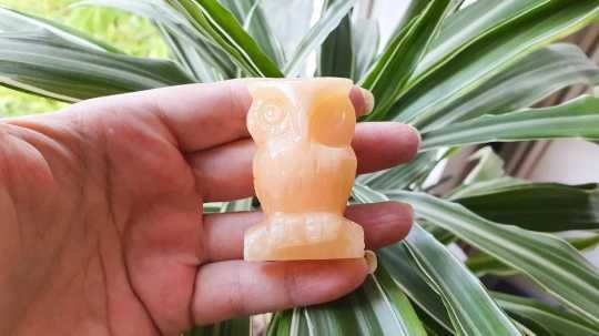 Yellow Aragonite Owl