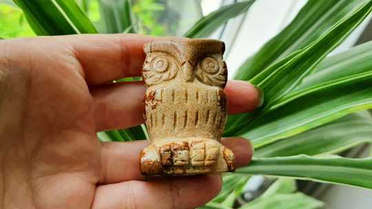 Picture Jasper Owl