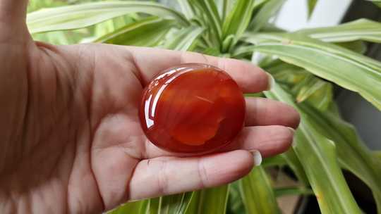 Carnelian worry stone