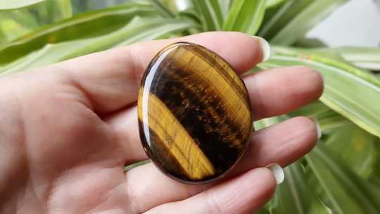 Tigers eye palm stone