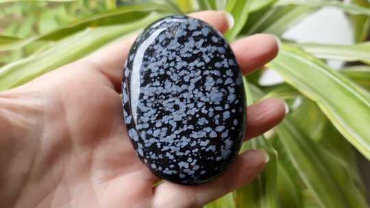 Large snowflake obsidian palmstone