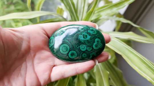 Large malachite palm stone
