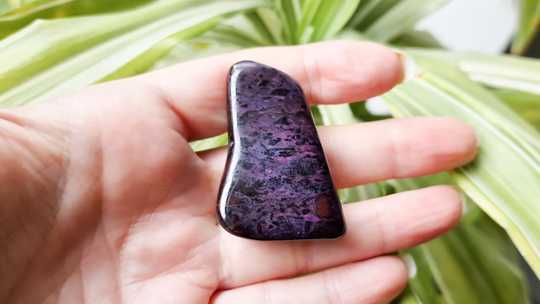 Large sugilite worry stone