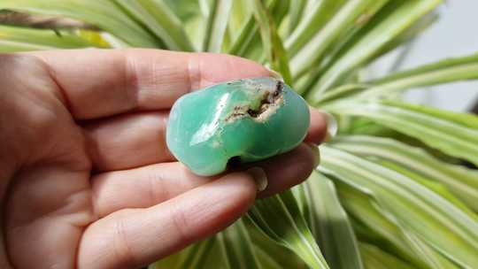 Medium Chrysoprase worry stone