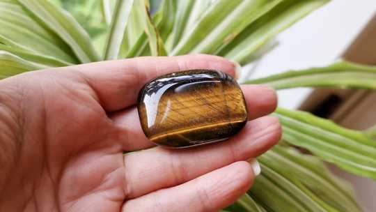 Tigers eye rectangle