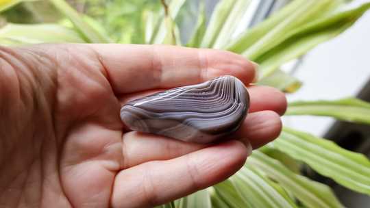 Medium Grey Botswana Agate