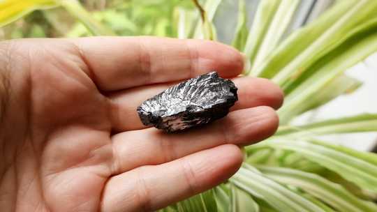 Elite Nobel Shungite