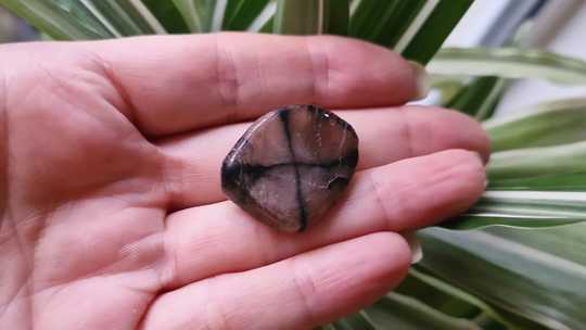 Chiastolite worry stone small