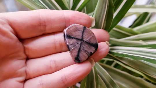 Chiastolite worry stone medium