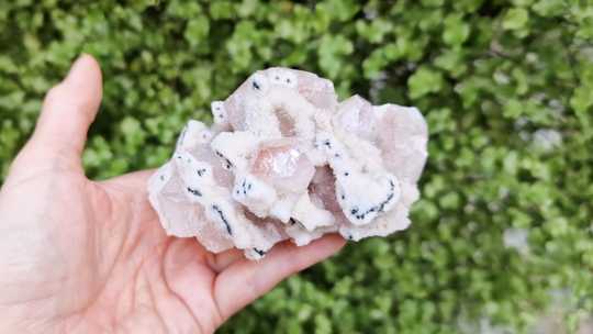Rare Red Tip Apophyllite specimen